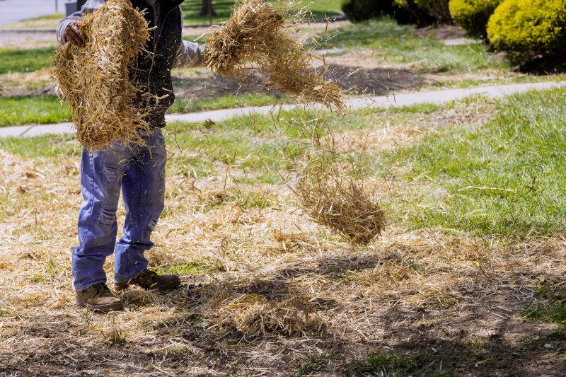 Pine Straw Installation