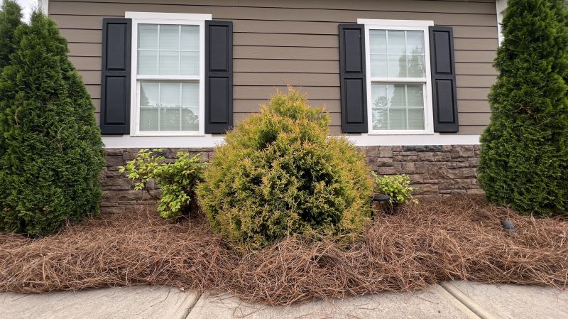 Pine Straw Installation