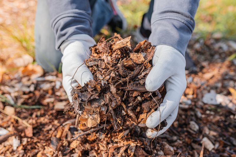 Leaf Mulching