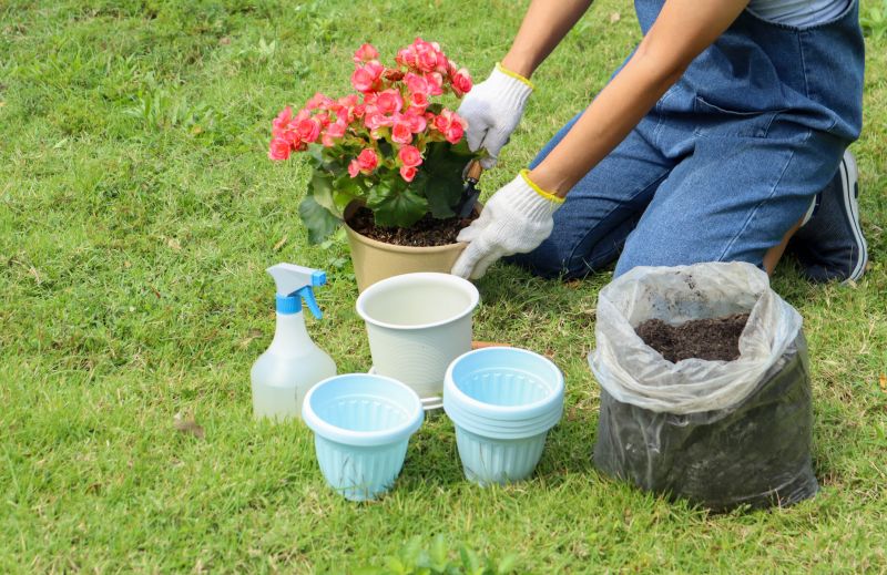 Garden Planting Service in Ventura County, CA