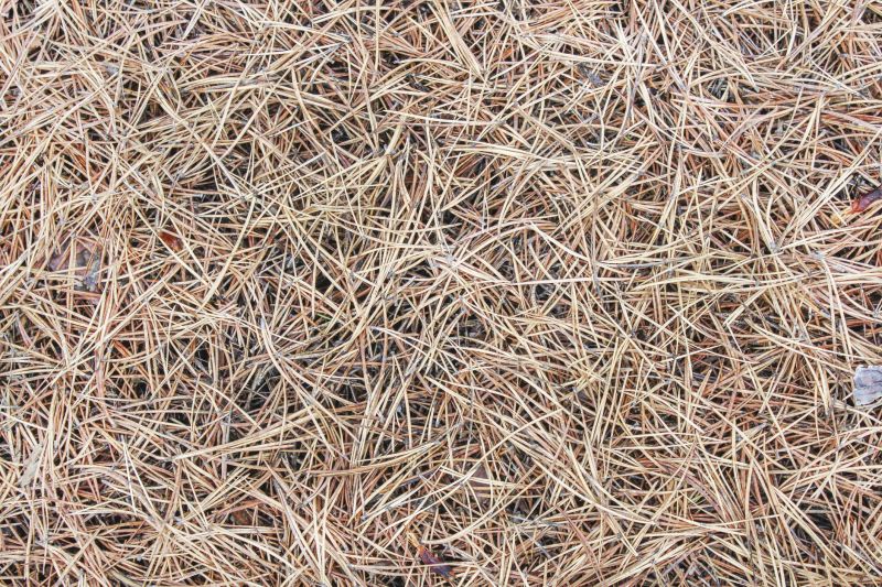 Pine Straw Installation Cost — Cost of Pine Straw Installation