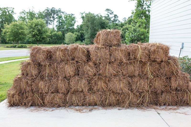 Pine Straw Installation Cost — Cost of Pine Straw Installation