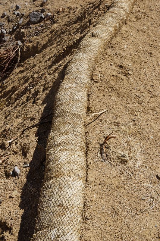 Pine Straw Installation Cost — Cost of Pine Straw Installation